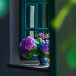 Classique Cavtat Apartment